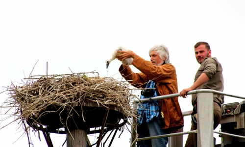 Foto: Bernd-Uwe Meyer