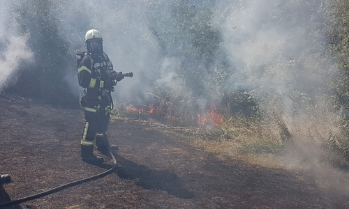 Zum Einsatz kamen auch die sogenannten Feuerpatschen. Fotos: Stadtfeuerwehr-Presse-Team