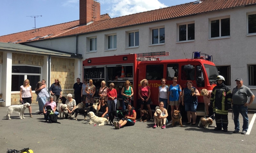 Susanne Kiehne und Krümel trafen gemeinsam mit dem Arbeitskreis Schulhund Niedersachsen Süd-Ost auf die Freiwillige Feuerwehr Oker. Foto: AGG Goslar