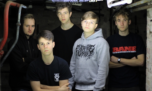 Pressefoto TORCH (
