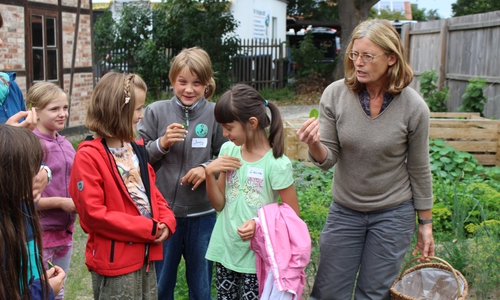Beate Pieper vom Gärtnermuseum führt die Kinder durch den Kräutergarten. Fotos: Jan Borner