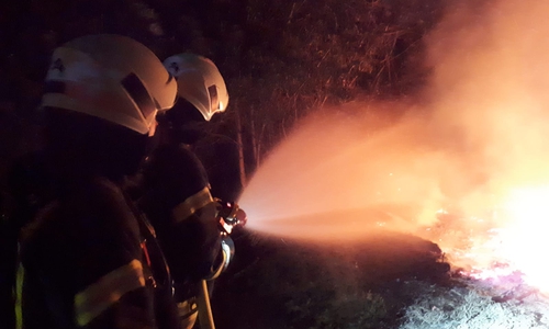Die FFW Vorsfelde wurde zu Löscharbeiten auf einer Wald- und Wiesenfläche gerufen. Fotos: FFW Vorsfelde