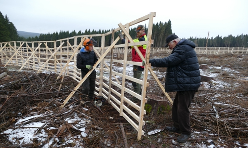 In den Werkstätten der Lebenshilfe Gifhorn entstehen aus Borkenkäfer-Fichten Holzzäune gegen Wildverbiss, damit an den nun kahlen Stellen neue Bäume ungestört wachsen können. Foto: Nds. Landesforsten