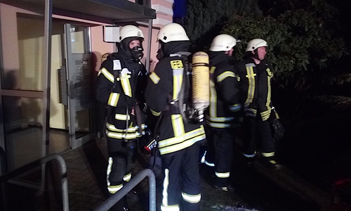 Die Feuerwehr setzte zwei Atemschutztrupps mit zwei Gasmessgeräten ein. Fotos: Feuerwehr Flechtorf