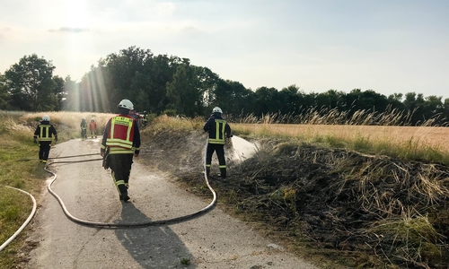 Die Feuerwehr hat dieser tage viel zu tun: Die Hitze sorgt für zahlreiche Brände in der Region. Fotos: Feuerwehr Stadt Bad Harzburg