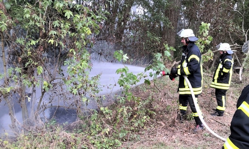 Die Feuerwehrleute konnten einen Flächenbrand schnell in den Griff bekommen. Fotos: Olliver Sander/Tobias Paschwitz