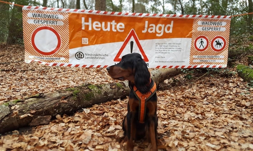 An solchen Bannern wird der Beginn des Jagdgebietes erkennbar sein. Foto: Niedersächsische Landesforsten