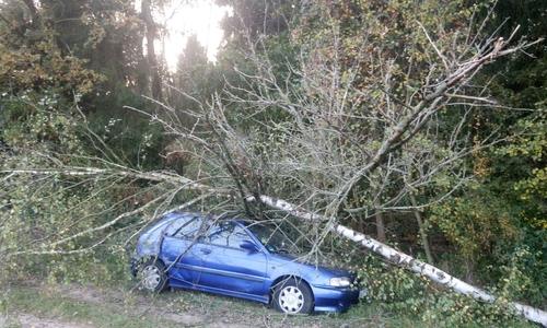 Dieses Bild bot sich den Einsatzkräften an der Unfallstelle. Foto: Tobias Hurlbeck