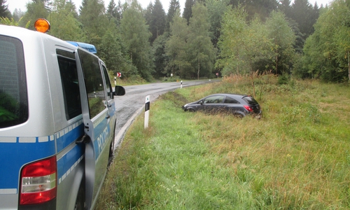 Der Wagen landete im Grünstreifen. Foto: Polizei