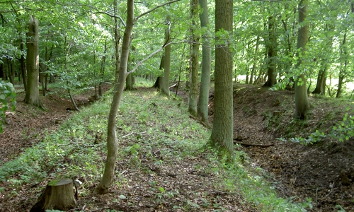  Wallgräben der Landwehr im Woltorfer Holz.