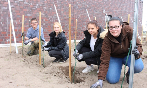 Justin Deter, Natalie Weber, Vivien Paulokat und Jenny Pollet gehören zu den zwölf Azubis, die an dem Projekt "Leiferder Weinberg" teilnehmen. Fotos: Eva Sorembik