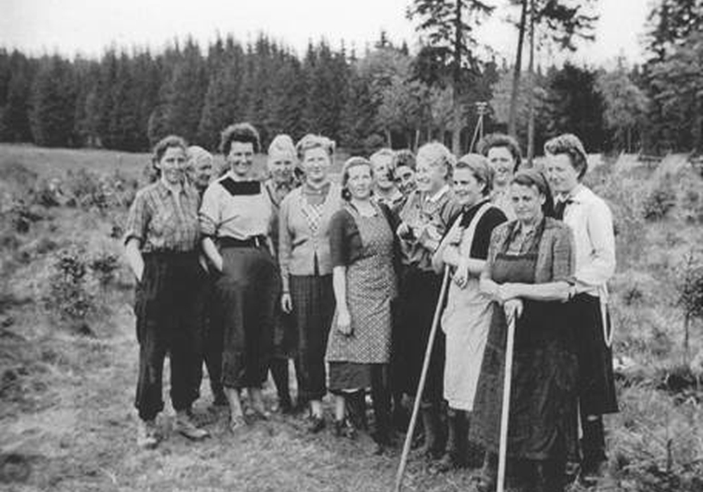 Kulturfrauen Die „Trümmerfrauen“ des Waldes regionalHeute.de