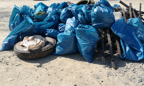 Diese Müllberge kamen bei der Aktion zusammen. Foto: Birgit Leiß-Voges