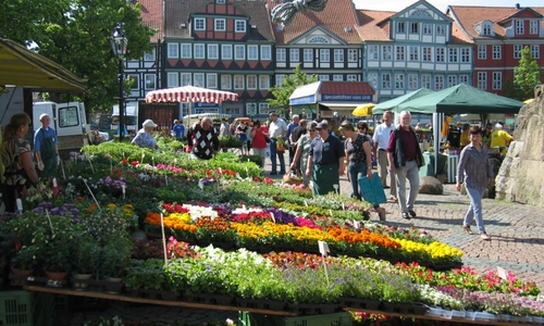 Der Wolfenbütteler Geranienmarkt - ein Veranstaltungshöhepunkt in der Gärtnerstadt. Foto: Veranstalter 