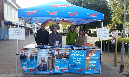 Die AfD informierte in der Innenstadt. Foto: AfD