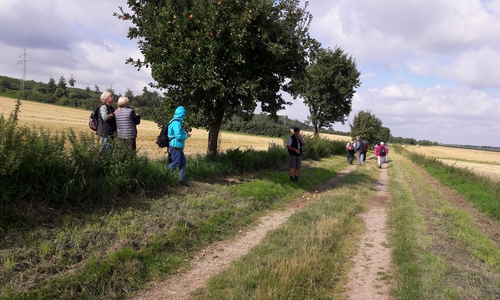 Die Wanderer pflückten frisches Obst von den Bäumen. Fotos: Hans Lunkewitz