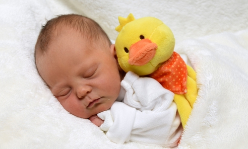 Willkommen, Charlotte Keil. Foto: babysmile24.de