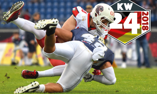 Knackiges Duell: Die Lions empfangen die Berlin Rebels. Foto: Moritz Eden