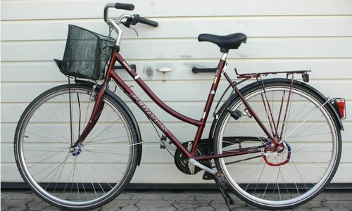 Damenfahrrad der Marke Pegasus. Foto: Polizei Peine