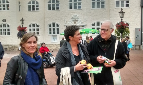 Von links: Ulrike Siemens, Anja Piehl und Pieter K G Welge beim Spaziergang durch die Wolfenbütteler Innenstadt. Foto: Die Grünen