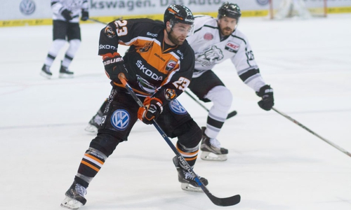 Das erneute Duell zwischen den Grizzlys und den Ice Tigers beginnt heute Abend. Foto: Brandes/PresseBlen.de/Archiv