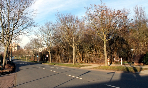Zur Stadtforst gehört auch der Karnickelbusch an der Leipziger Straße. Foto: Stadt Helmstedt