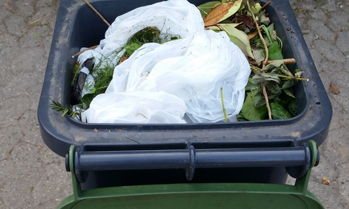 Würde in Salzgitter die Biotonne wöchentlich abgeholt, müssten die Bürger tiefer ins Portmonee  greifen. Symbolfoto: Archiv