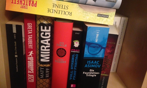 Einige Bücher, verschiedene Auswahl. Foto: Robert Braumann