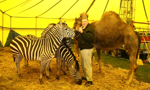 Nach Ansicht der  Grünen gehören Wildtiere nicht in den Zirkus. Foto: Archiv/Anke Donner
