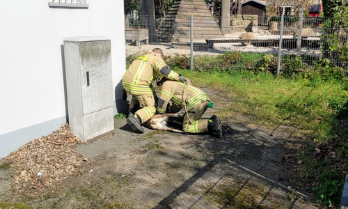 Foto: Feuerwehr Helmstedt