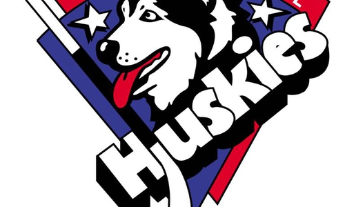 Falken kooperieren mit Huskies. Symbolfoto: imago/Powerplay