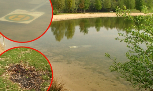 Rund um den Heidbergsee kam es in der Vergangenheit immer wieder so Verschmutzungen und Ruhestörungen. Foto: Andre Ehlers