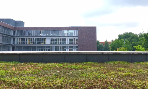 Ein begrüntes Dach in Wolfsburg. Foto: Stadt Wolfsburg