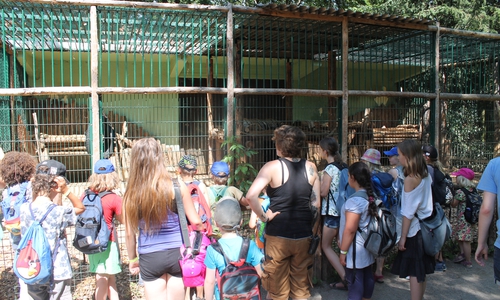 Zum Abschluss des Ferienkalenders stand eine Tagesfahrt zum Zoo in Aschersleben und zum Phaeno auf dem Programm. Foto: Privat