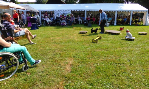 Bewohner und Angehörige der Seniorenbetreuung Schloß Schliestedt feierten ein fröhliches Sommerfest. Foto: Privat