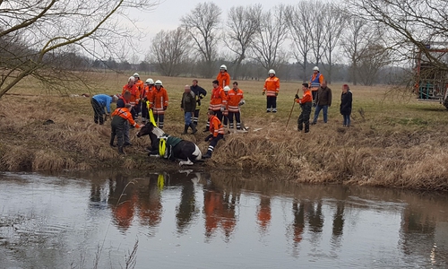 Mit vereinten Kräften konnte das Pferd aus der Oker gezogen werden. Foto: Schaffhauser/ Samtgemeindepressesprecher