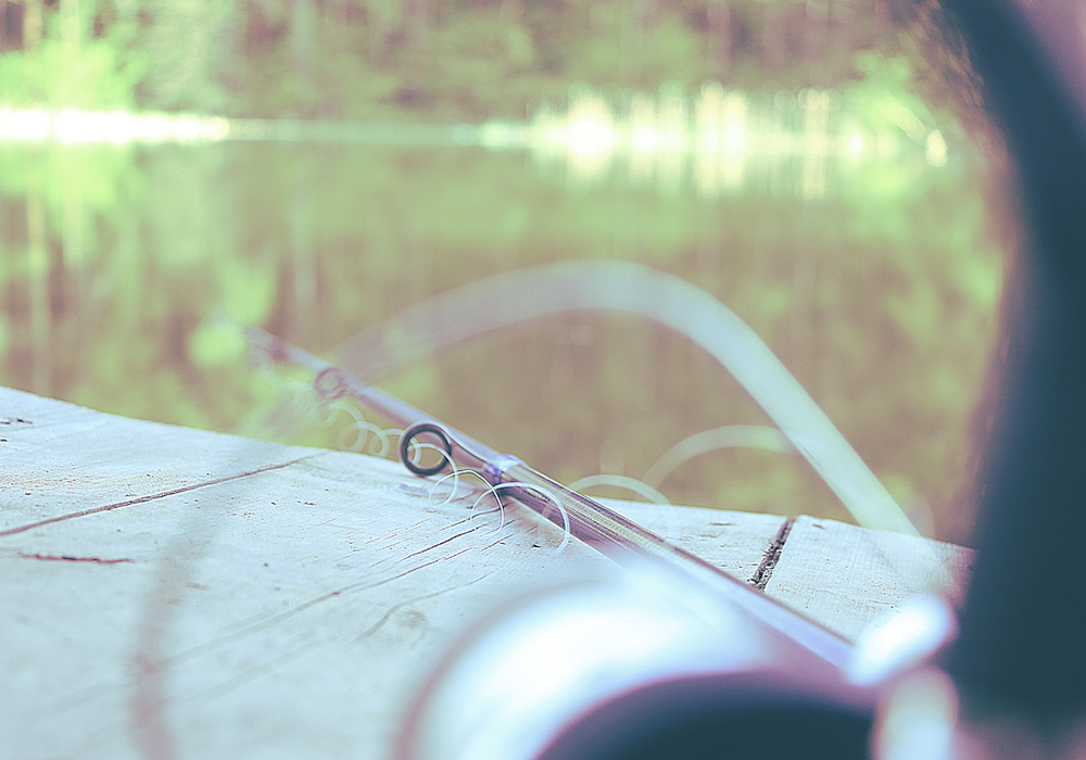 Fische fangen und wieder zurücksetzen - PETA hat eine Braunschweigerin wegen dieser Praxis angezeigt. Symbolforo: pixabay