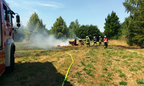 Ein Übergreifen auf den benachbarten Wald konnte die Feuerwehr durch unermüdlichen Einsatz verhindern. Fotos: Feuerwehr Vorsfelde