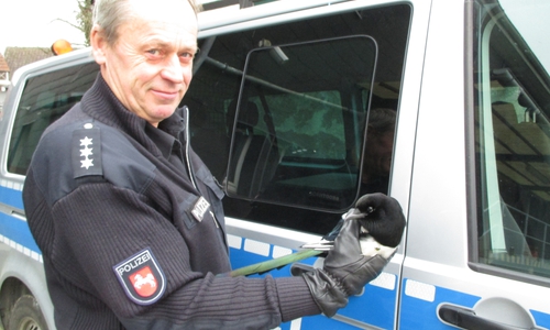 Die Elster wird wieder aufgepäppelt. Foto: Polizei