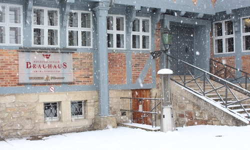 Die AfD fordert in einem Antrag, dass über die Nachnutzung des Brauhauses nachgedacht wird. Foto: Max Förster