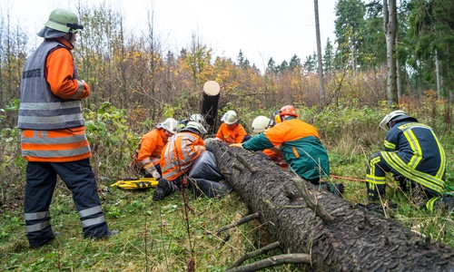 Durch die starken Orkanböen wurden etliche Bäume umgeworfen. Symbolfoto: Tobias Paschwitz, Freiwillige Feuerwehr Hohenhameln