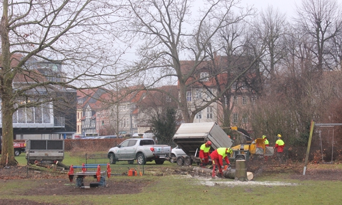 Auf dem Gelände der Volksbank Am Herzogtore haben die Arbeiten begonnen. Derzeit werden Bäume gefällt. Foto: Anke Donner 
