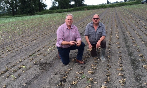 Unser Bild zeigt Frank Oesterhelweg (links) und Helmut Grabenhorst bei der Begutachtung von Hochwasserschäden.