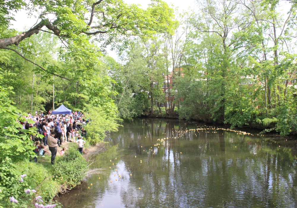 Kann die Oker in Wolfenbüttel nicht nur für Freizeitvergnügen wie dem Entenrennen, sondern auch für die Energiegewinnung gewonnen werden? Foto: Archiv/Anke Donner