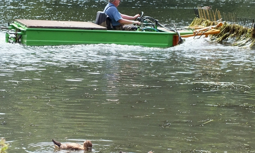 Wasserreinigung mit einem speziellen Boot. Foto: Achim Klaffehn