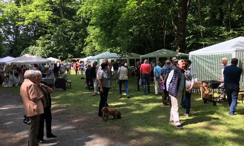 Das Mühlenfest in Schladen  wurde wieder sehr gut angenommen. Fotos: Alexander Dontscheff