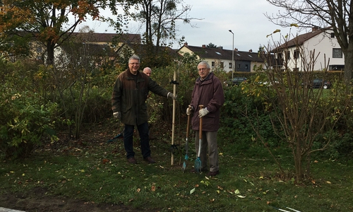 Claus-E.Roschanski (links), Vorsitzender der Siedlergemeinschaft Jürgenohl und Walter Marx, 1.Vorsitzender der Siedlergeneinschaft Döhren beim setzen eines neuen Baumes. Foto: Siedlergemeinschaft