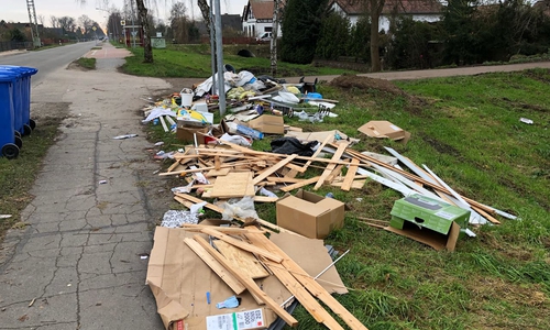 Die B.I.G.-Fraktion sieht Änderungsbedarf im Bereich der Sperrmüllabfuhr. Foto: B.I.G.-Fraktion