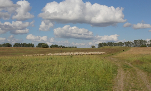 Blick auf den Offenlandbereich in den Herzogsbergen. Foto: Diethelm Krause-Hotopp