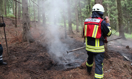 Am Donnerstag geriet Unterholz am Nordberg in Brand. Foto: Feuerwehr Goslar.